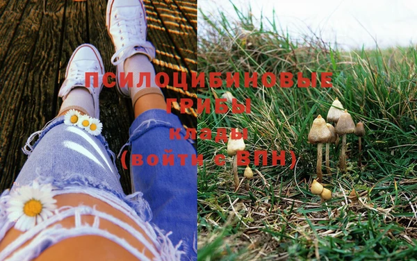 марки lsd Балабаново