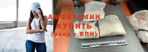 прущие грибы Переславль-Залесский