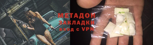 прущие грибы Переславль-Залесский