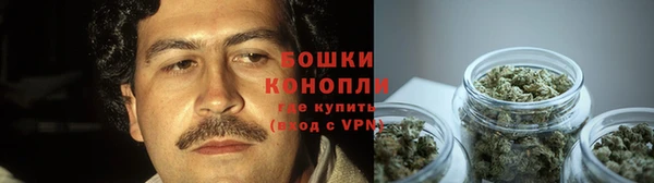 ГАЛЛЮЦИНОГЕННЫЕ ГРИБЫ Баксан