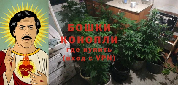 ГАЛЛЮЦИНОГЕННЫЕ ГРИБЫ Баксан
