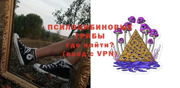 ГАЛЛЮЦИНОГЕННЫЕ ГРИБЫ Баксан