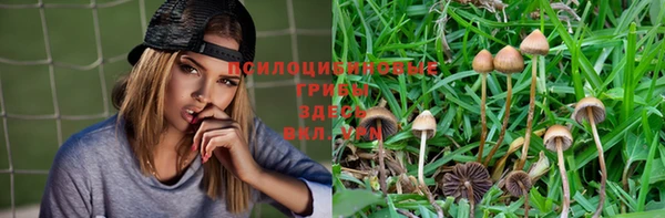 марки lsd Балабаново