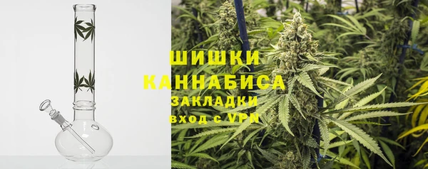 ГАЛЛЮЦИНОГЕННЫЕ ГРИБЫ Баксан