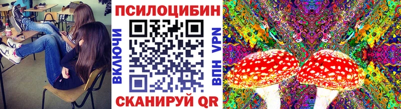 Псилоцибиновые грибы Cubensis Нурлат